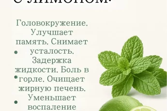 Целебные дары мяты и лимона