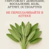 Шалфей, ароматная трава, обладающая тысячью достоинств, хорошо известен своими кулинарными, лечебными и декоративными свойствами.