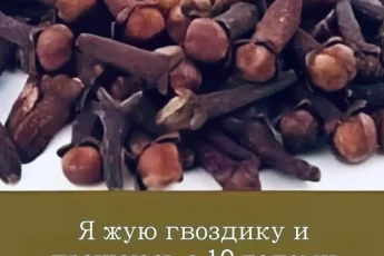 Я жую гвоздику и прощаюсь с 10 годами диабета.. Вот вам рецепт