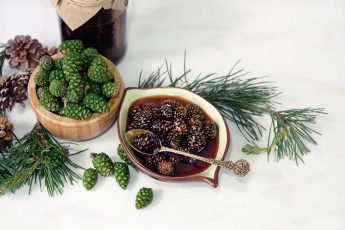 Сироп из сосновых шишек: руководство для новичков (польза, способ приготовления и применение)