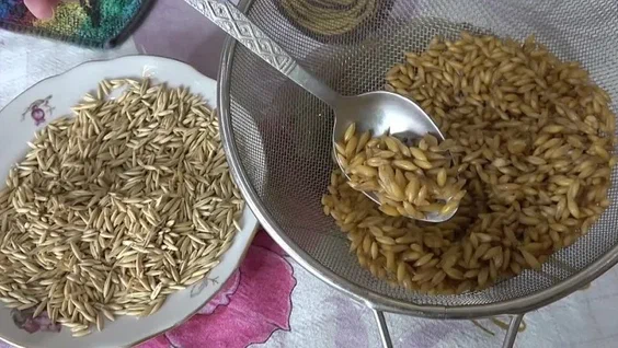 ОВЕС - ЛЕЧИТ 100 БОЛЕЗНЕЙ: печень, почки, бронхит, грипп, застарелый кашель, чистит кровь, укрепляет иммунитет