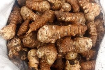 Забытый овощ из СССР, который суставам и сосудам нужен больше модных витаминов