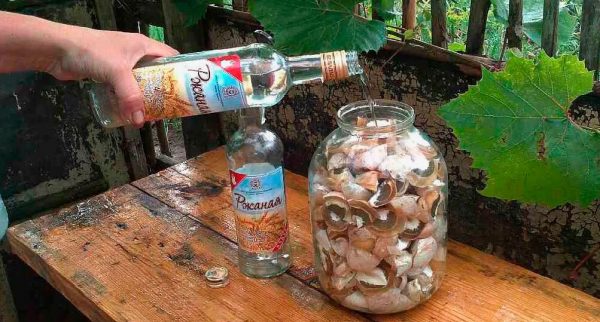 3 рецепта из веселки – полезное и доступное средство для профилактики онкологии