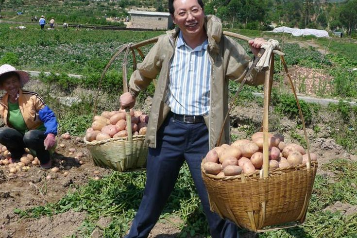 Почему на китайских огородах все прет как на дрожжах: подсмотрел их схемы и выпал в осадок