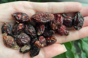 Мочевая кислота после 55 лет: 5 продуктов, которые стоит добавить в рацион