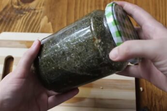 Этот натуральный рецепт с крапивой и медом использовали и наши бабушки: он готовится за 10 минут.