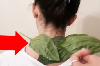 Всем, кто часто страдает от болей в спине, особенно в шее, следует использовать этот лечебный компресс!