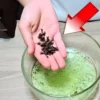 Мухи, насекомые и муравьи больше никогда не попадут в ваш дом: мощная смесь